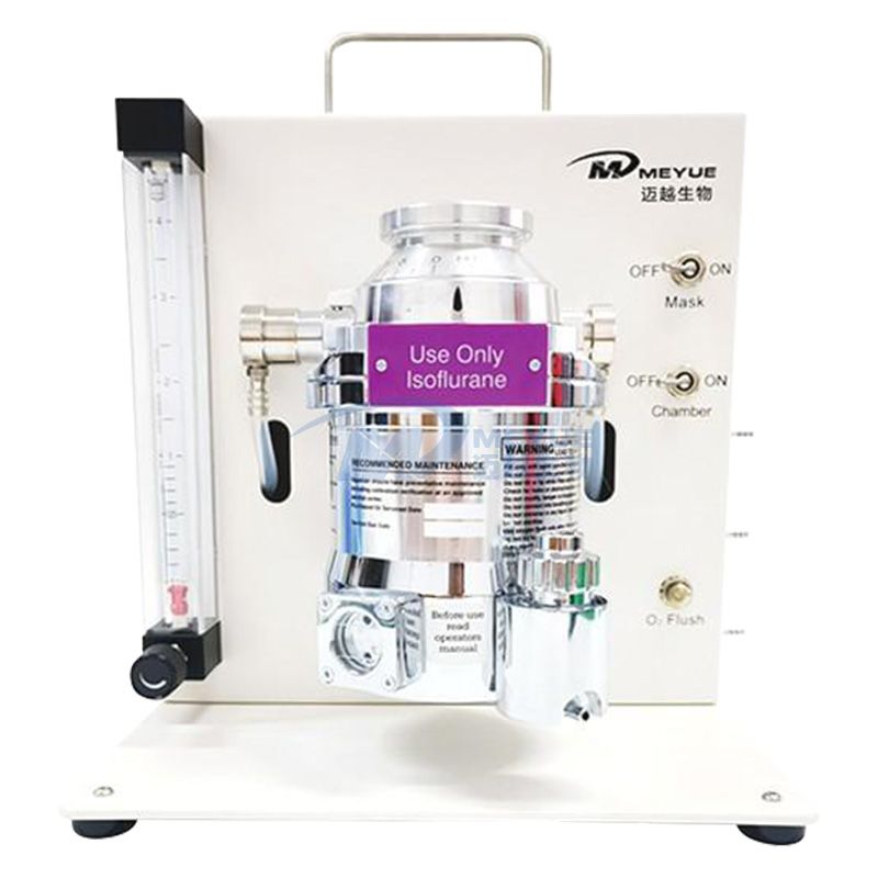 M5206 Desktop Small Animal Ane