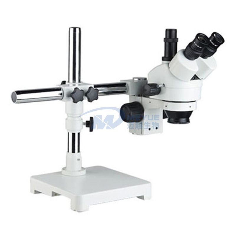 M5270 continuous zoom stereo microscope
