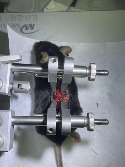 WeChat Image_20231218085619.jpg