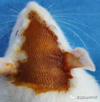 WeChat Image_20231218085637.jpg