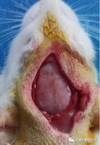 WeChat Image_20231218085632.jpg