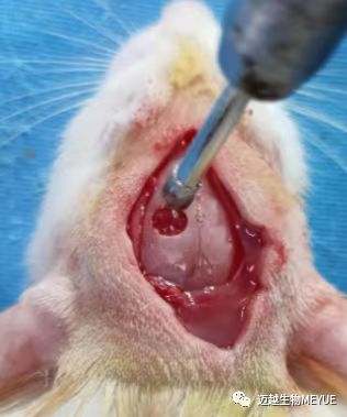 WeChat Image_20231218085626.jpg