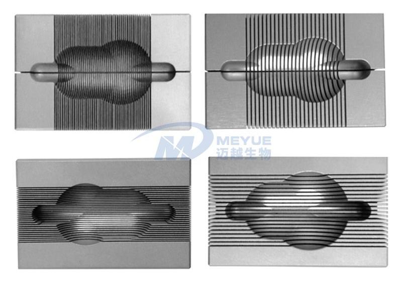 Rat & Mouse Brain Mold