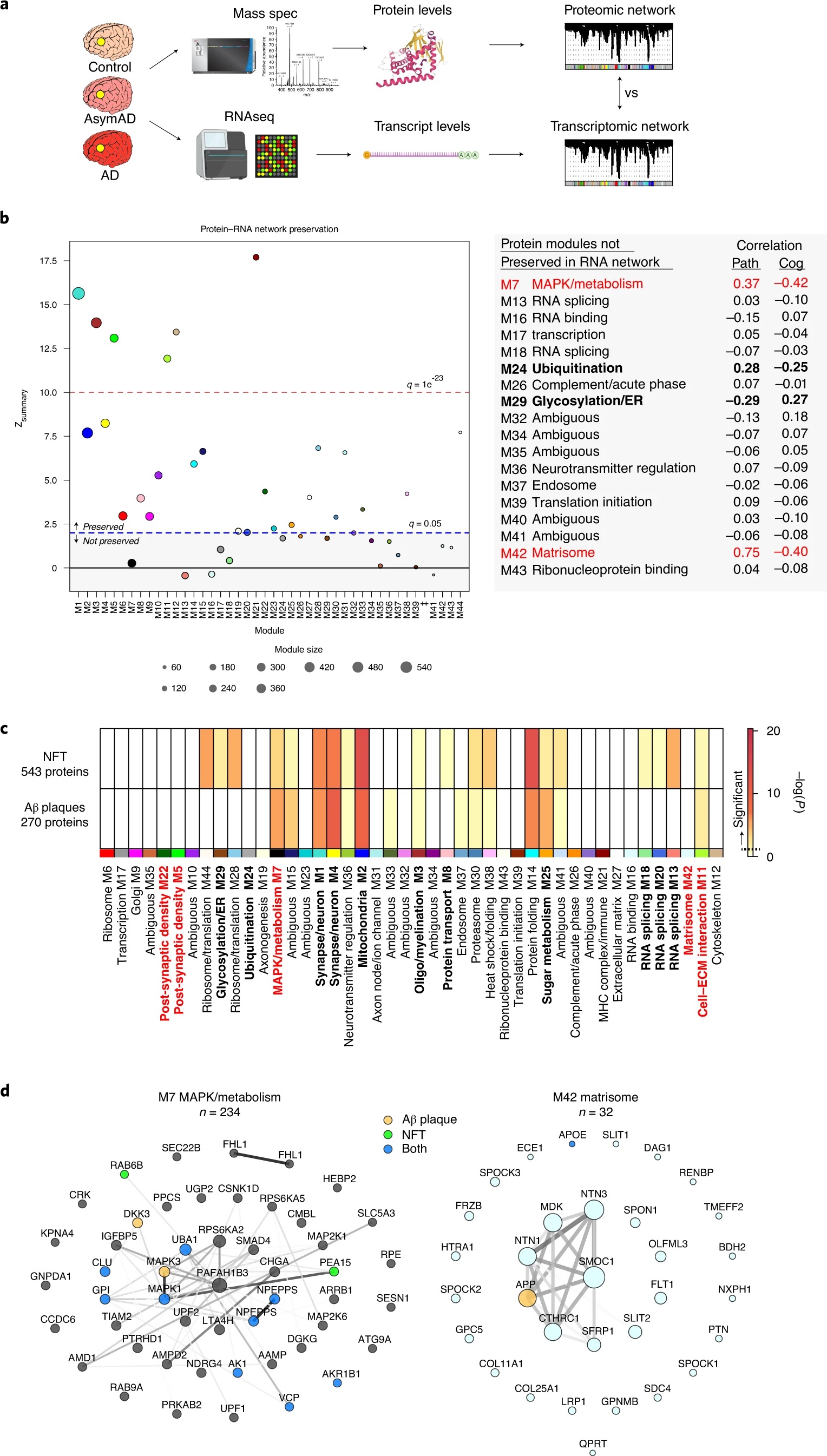 Multi-omics Integrated Analysis — Uncovering Novel Protein-Related Changes in the Brains of Alzheimer's Disease Patients! (Figure 1)